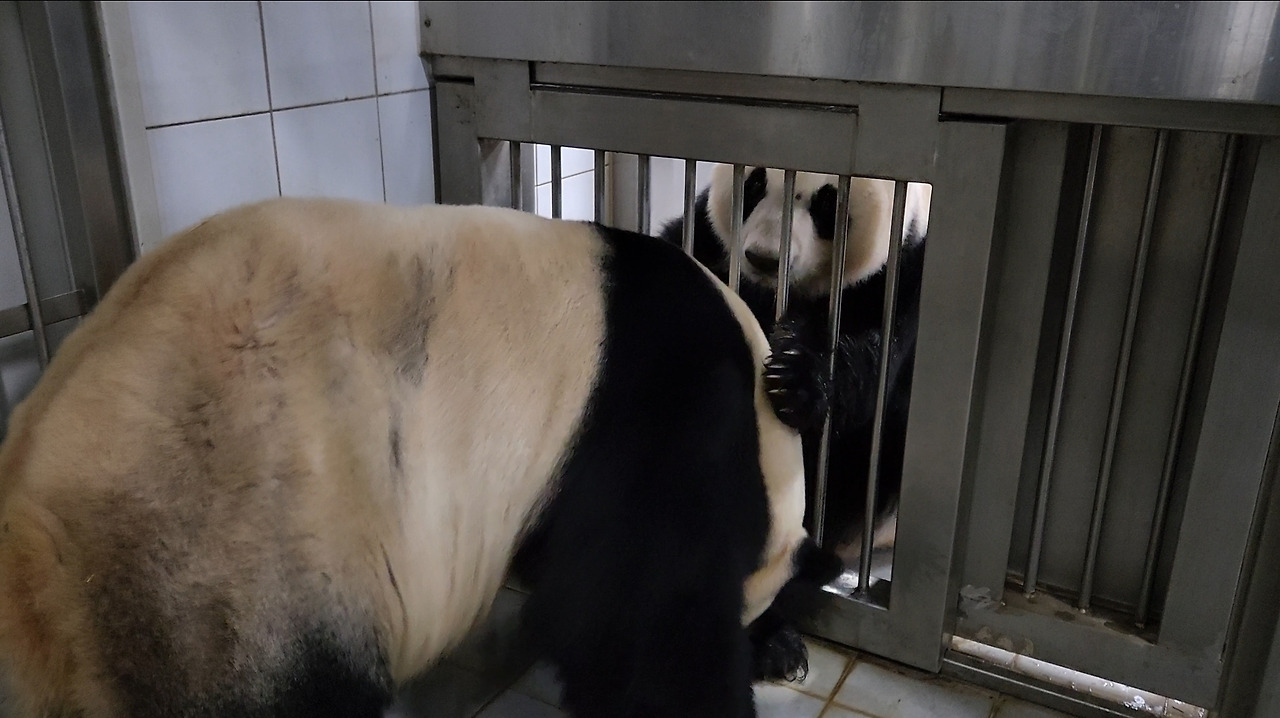 Screenshot_20230609_232042_Gallery (1).jpg