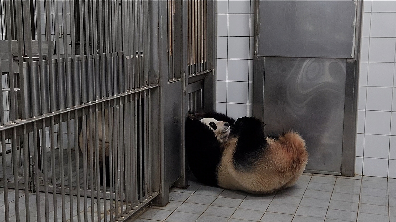 Screenshot_20230609_232149_Gallery (1).jpg