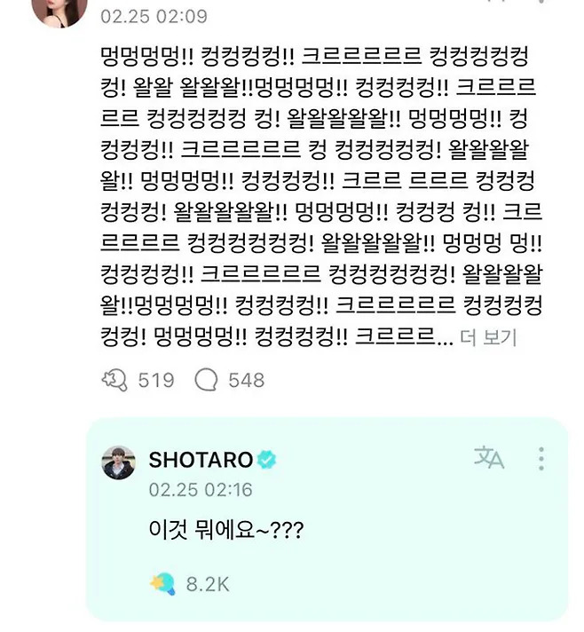 카지노 게임 사이트