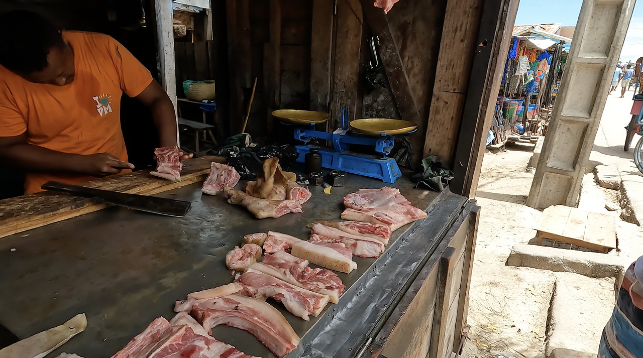 카지노 게임 사이트