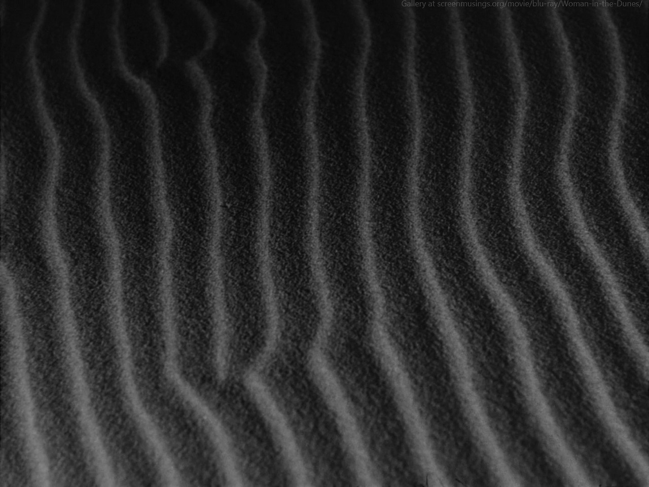 Woman-in-the-Dunes-040.jpg
