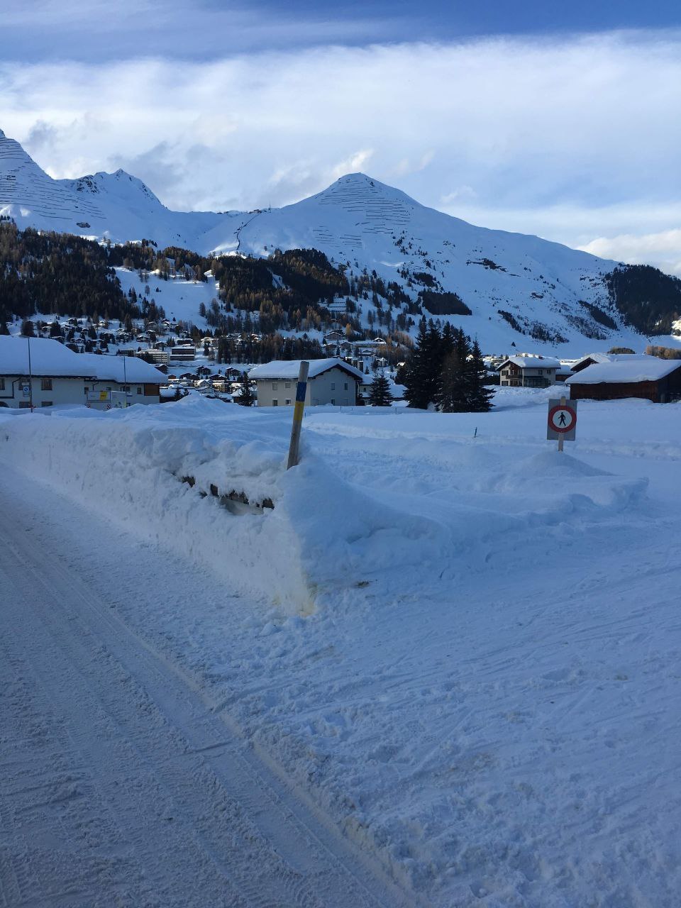 photo_2025-04-11_07-53-01 (3).jpg