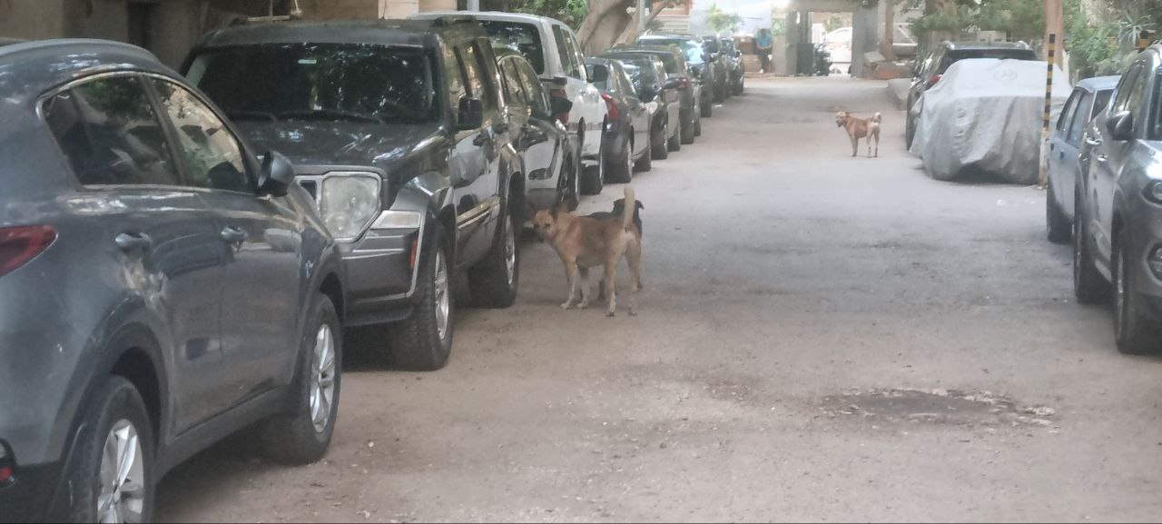 photo_2025-04-21_02-43-22 (4).jpg