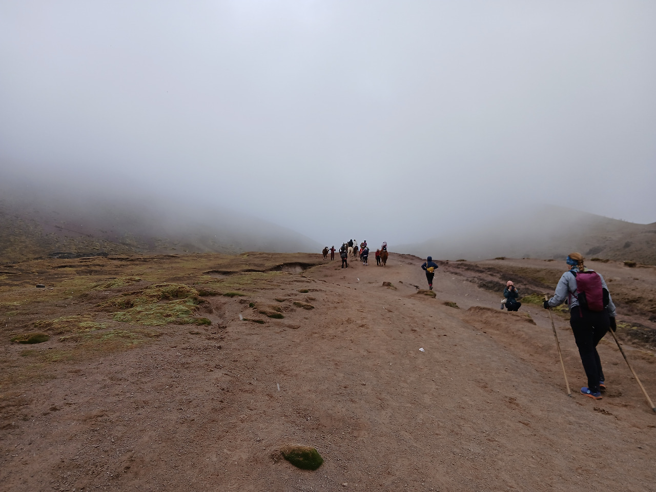 20241014_095804 (1).jpg