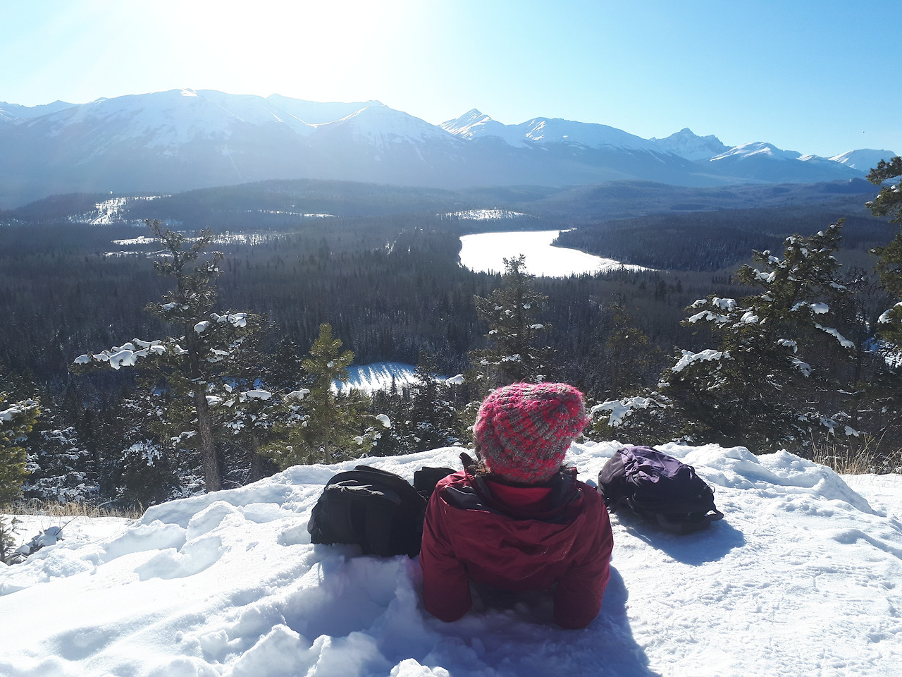 20210211_143500 (1).jpg