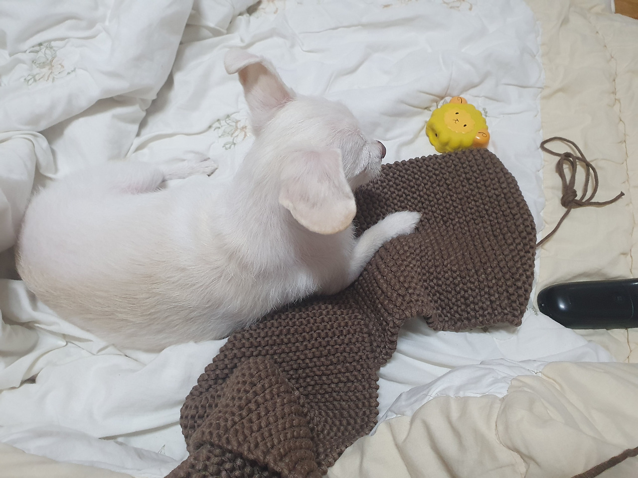 언제나 함께인 일상.jpg