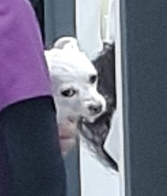 산책의 유혹.jpg