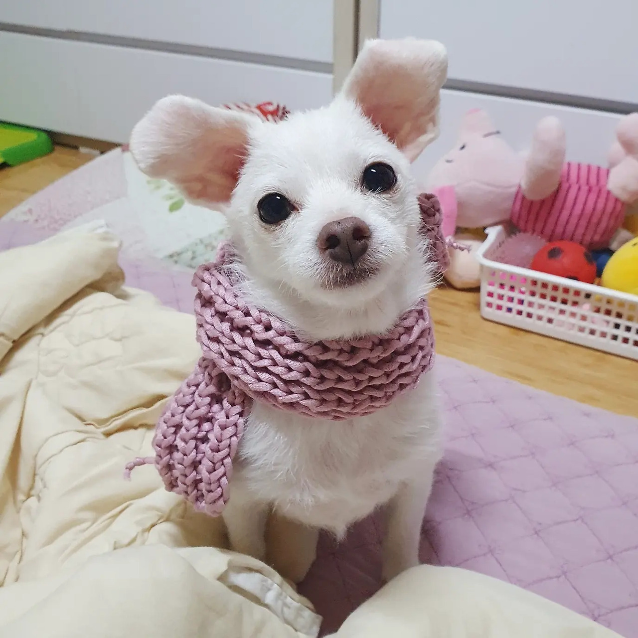 언니의 새로운 취미.jpg