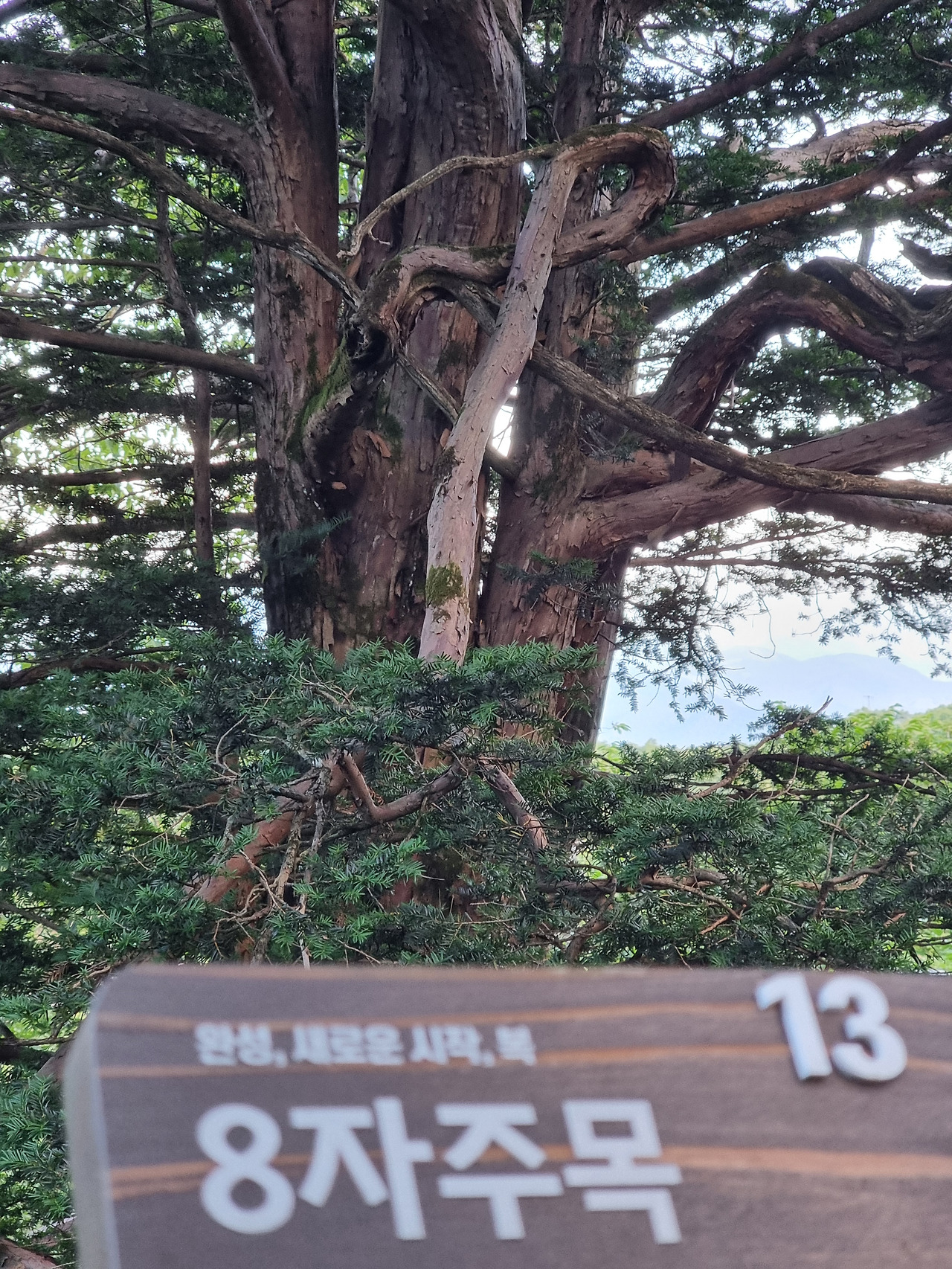 KakaoTalk_20250730_211503289_08 (1).jpg