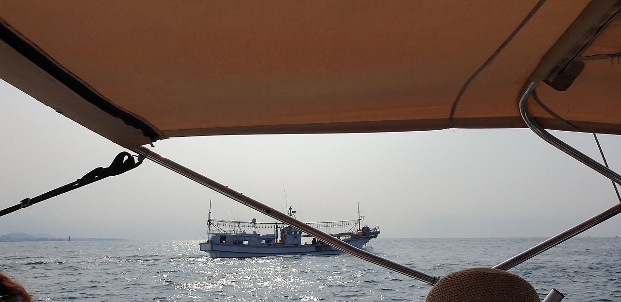 다른 배 사진 4.jpg