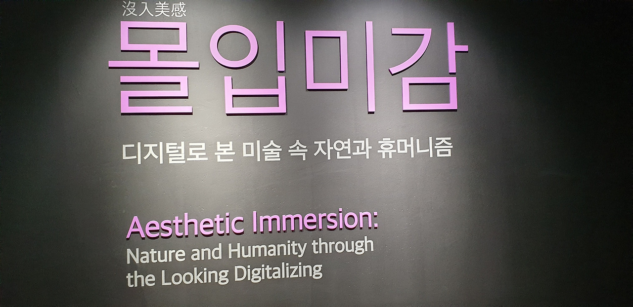 제목1몰입 미감.jpg