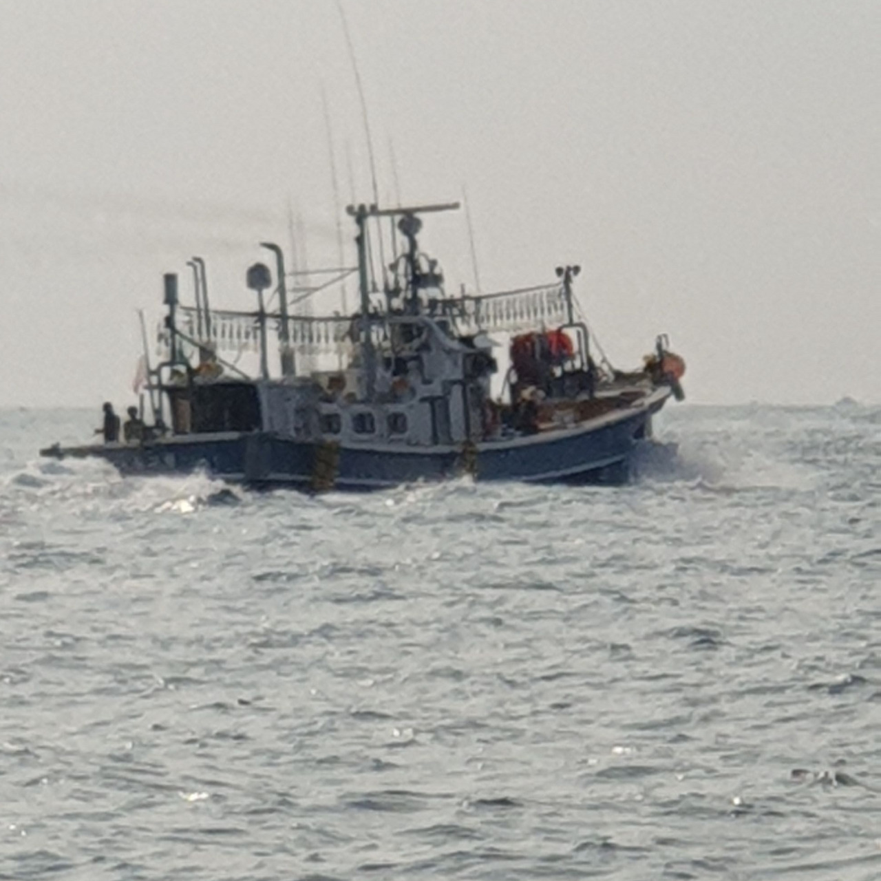 다른배 좋음.jpg