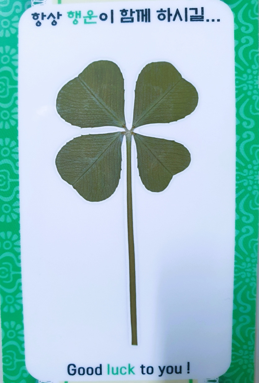행운1.jpg