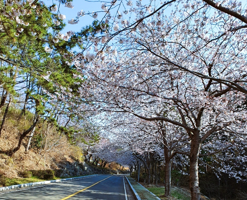 나태정 첨부2.jpg