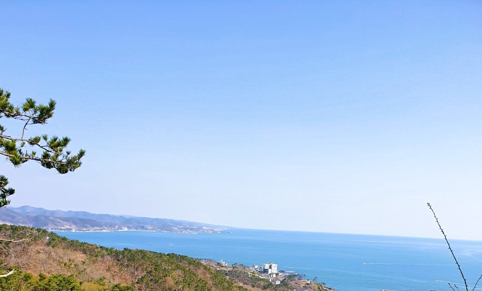 나태정 첨부1.jpg