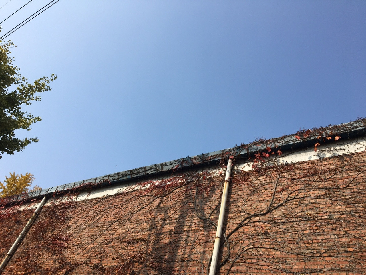 14 동일방직 담장.jpg