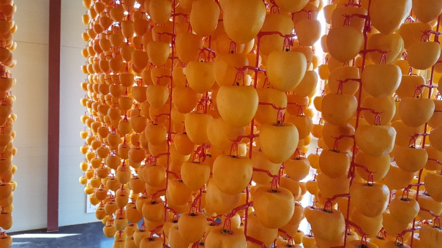 가을 풍경.11.jpg