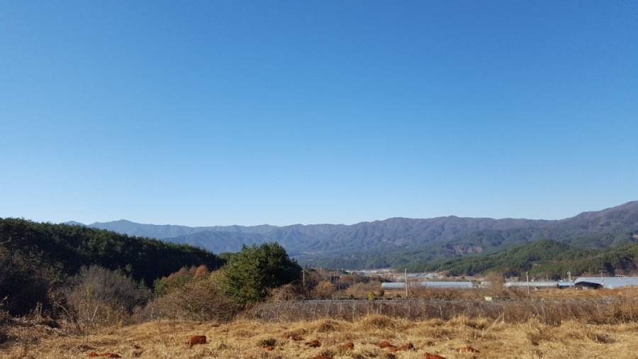 가을 풍경.15.jpg