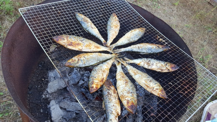 가을 풍경.13.jpg