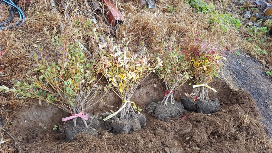 가을 풍경.10.jpg