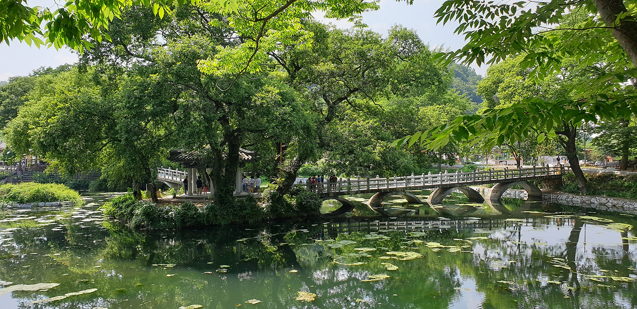 함안 무진정의 여름.jpg