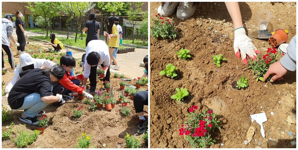 꽃심기1.jpg