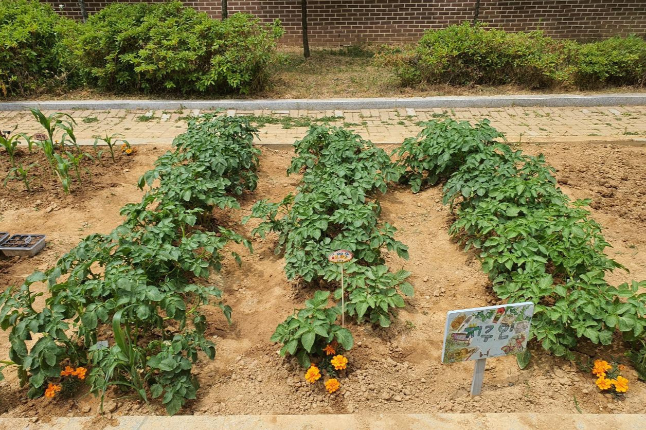 1653552080492-2 (1).jpg