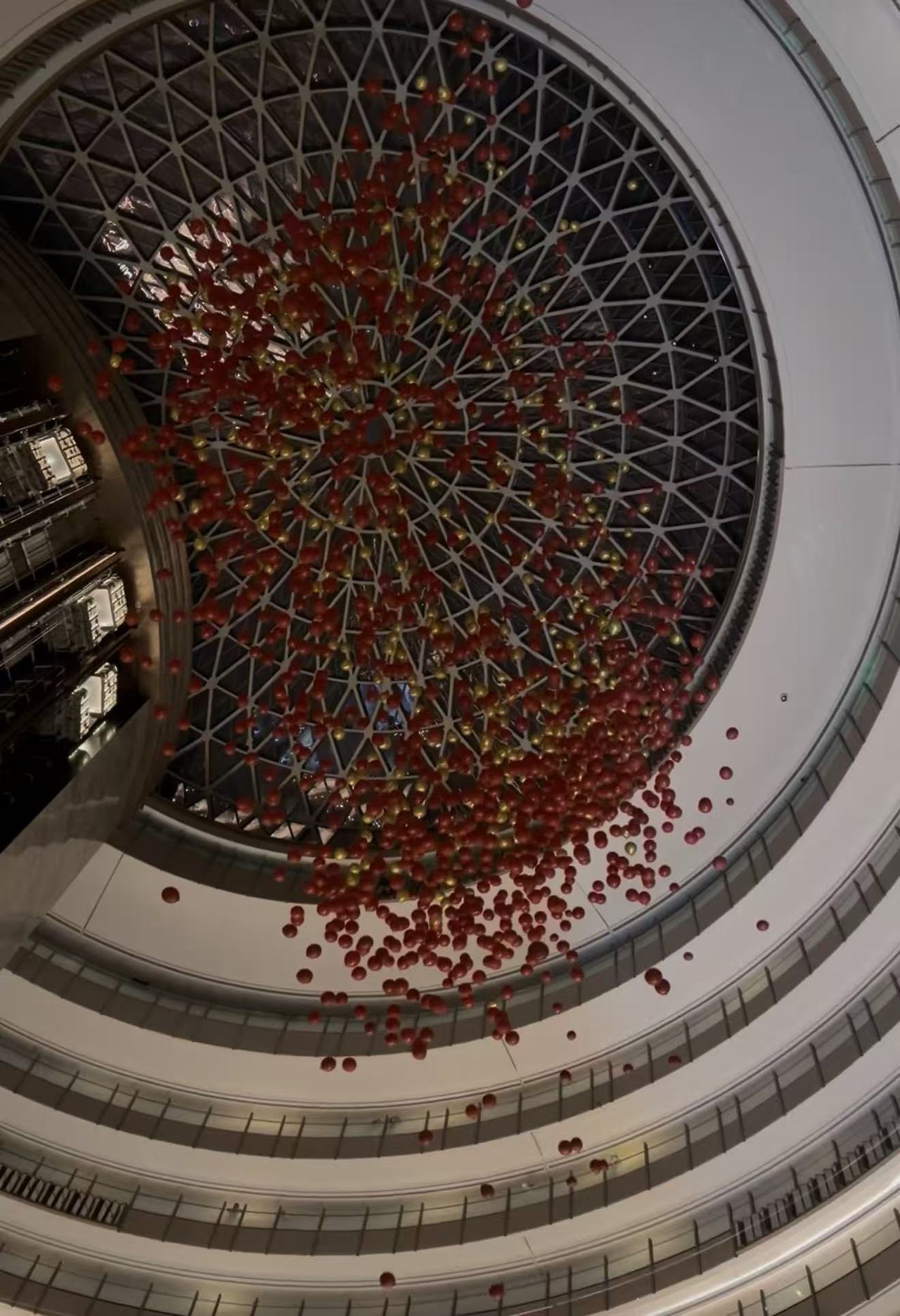 Weixin Image_20260101084513_668_36.jpg