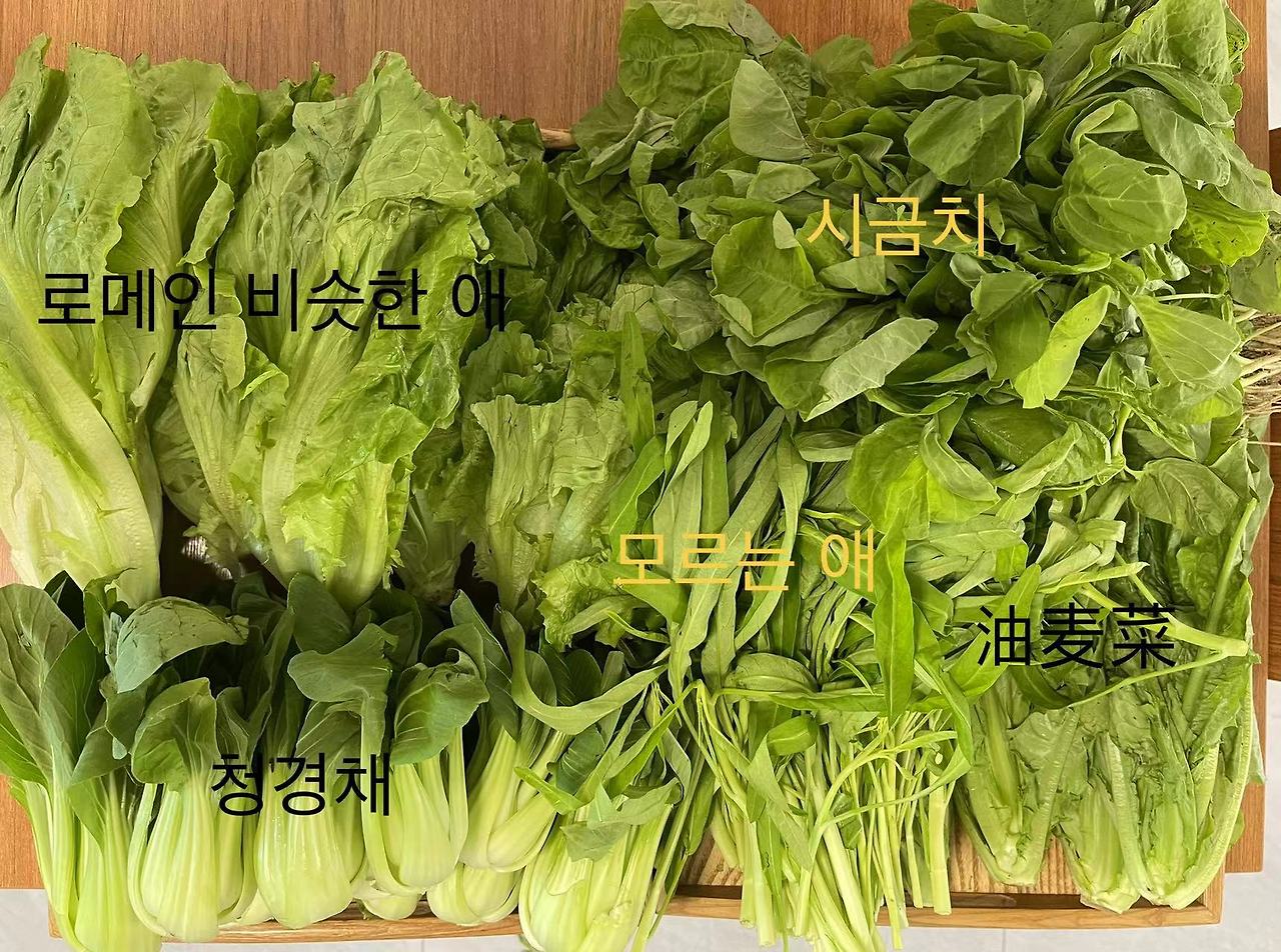 WeChat Image_20220502195534.jpg