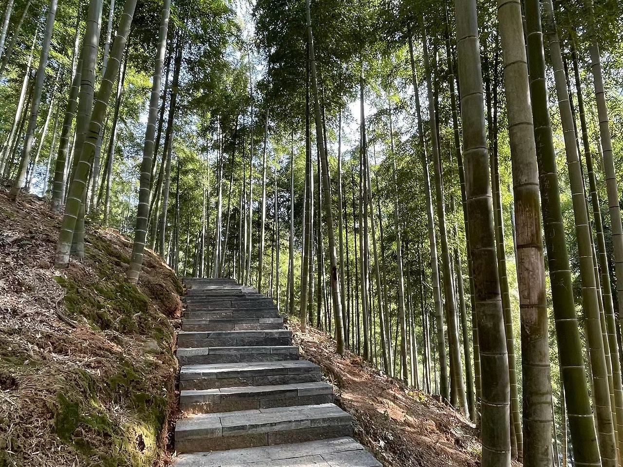 WeChat Image_20230423110031.jpg