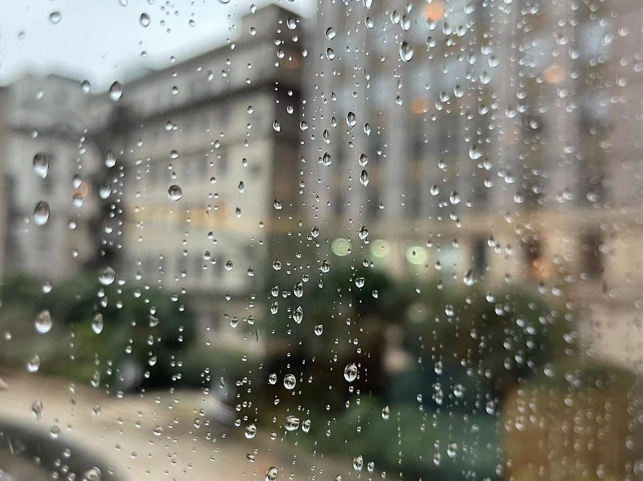 Weixin Image_20231018123013.jpg