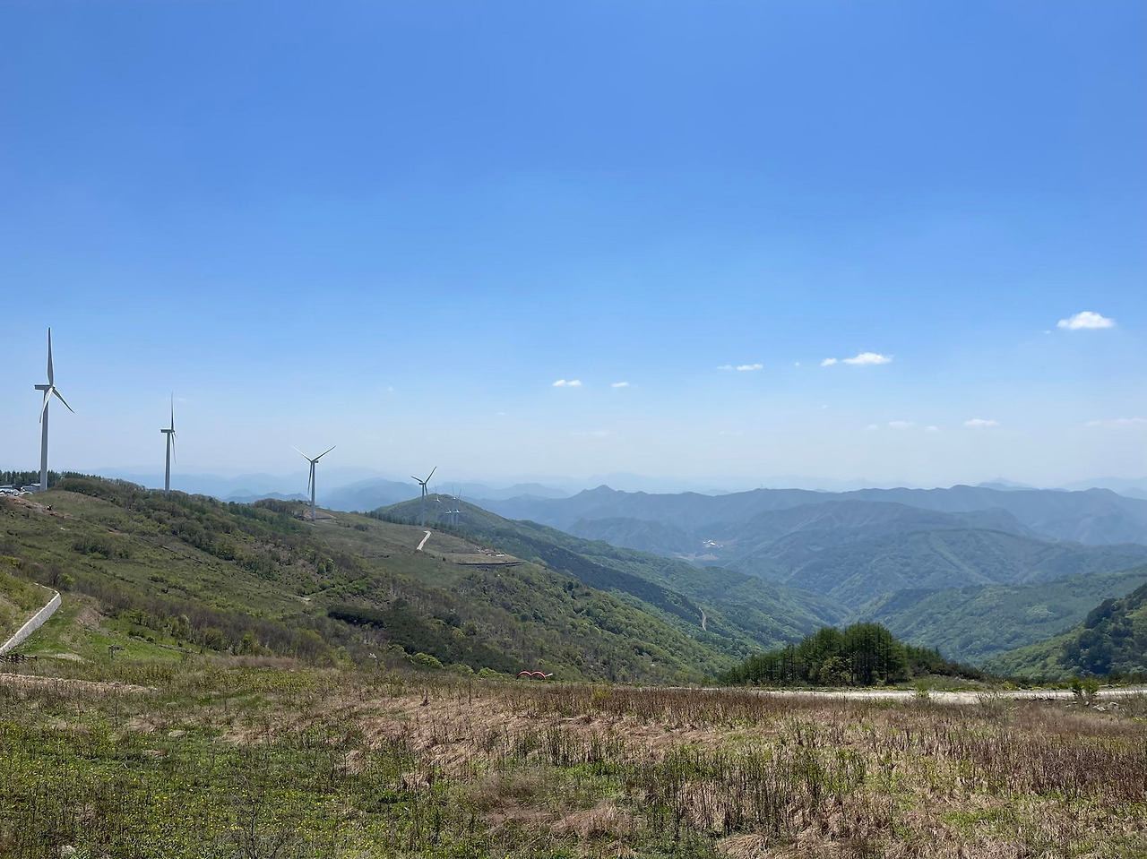 Weixin Image_20240506142906.jpg