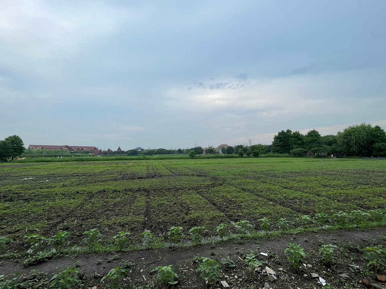 Weixin Image_20230714174246.jpg