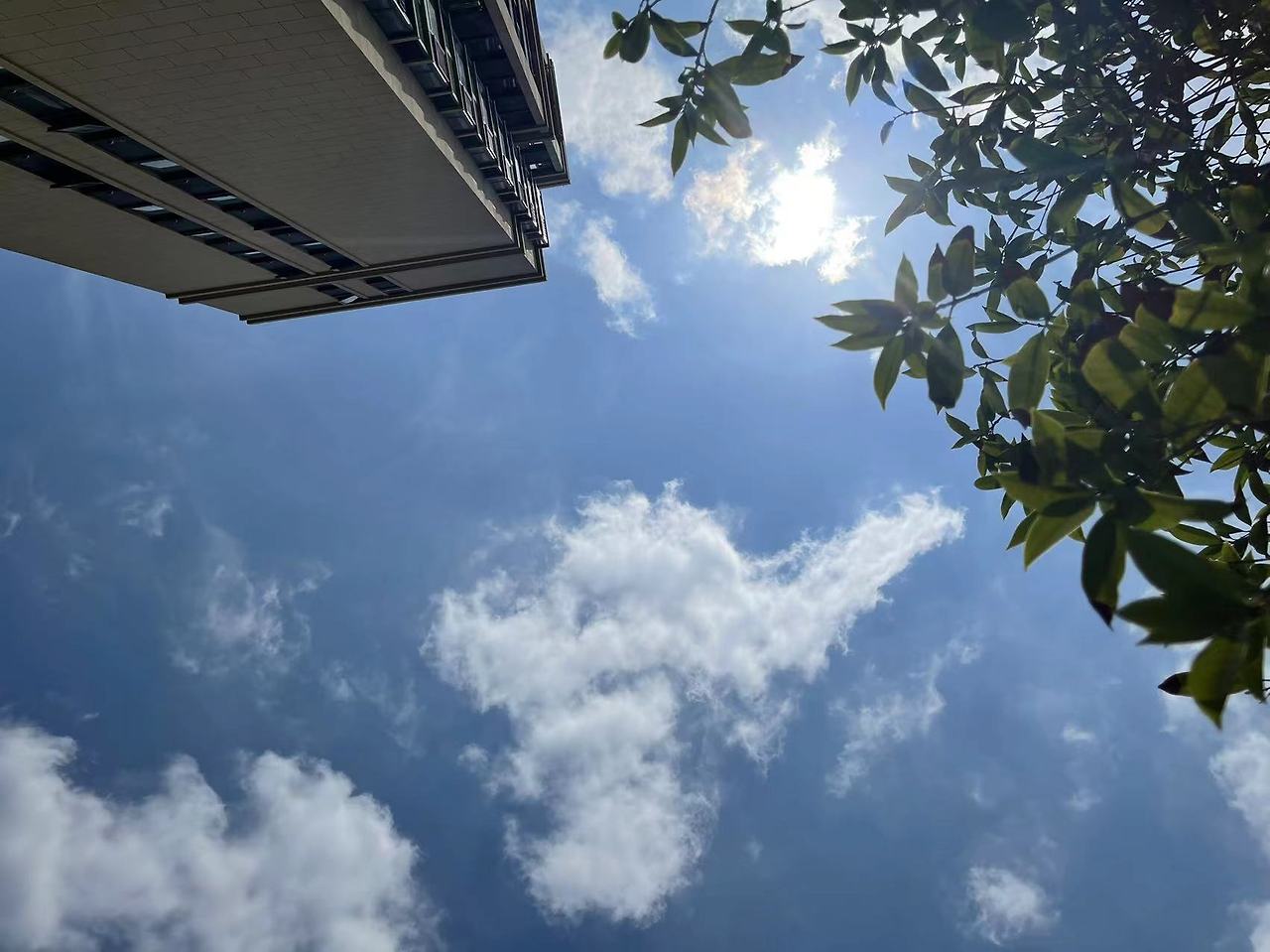 WeChat Image_20220508130042.jpg