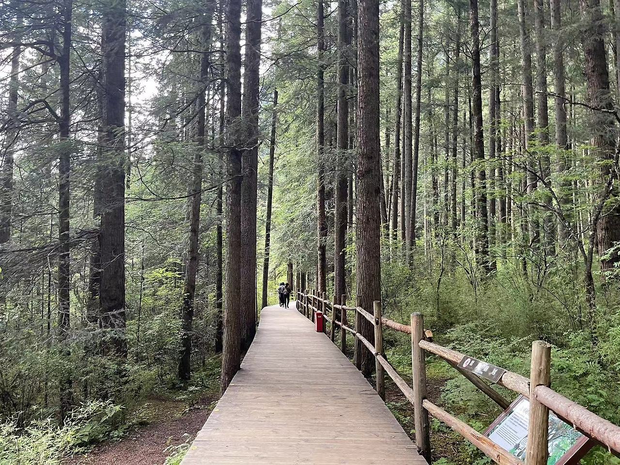 Weixin Image_20230824141954.jpg