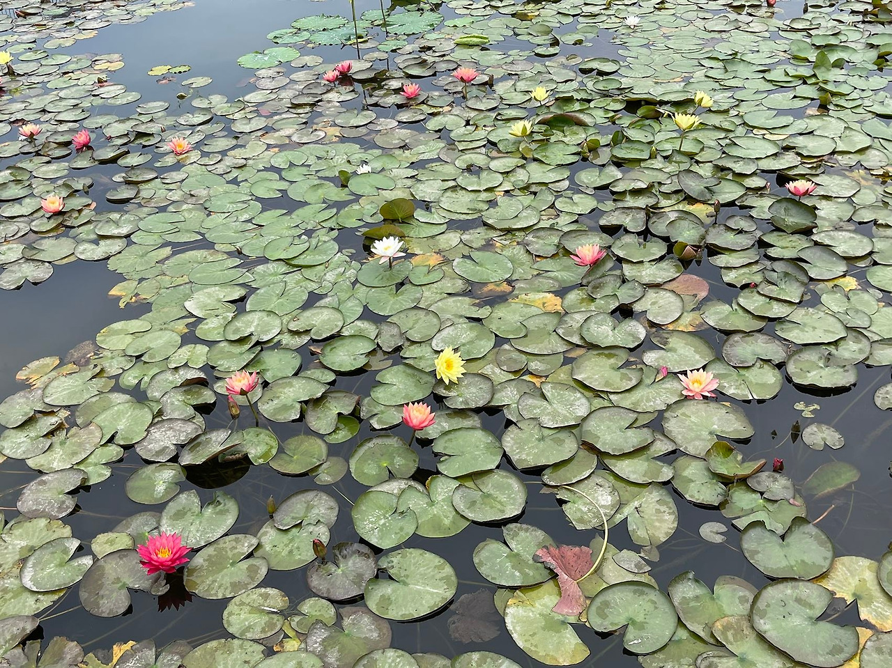 Weixin Image_20240611143657.jpg