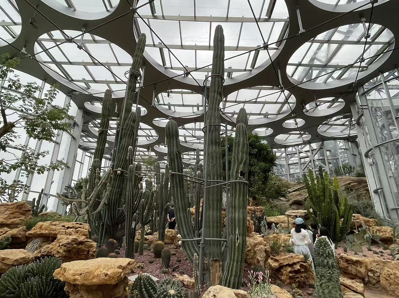 Weixin Image_20250922155315_1788_134.jpg