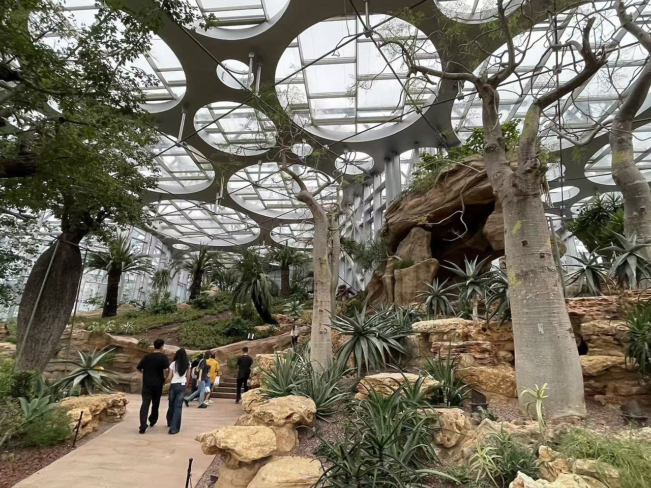 Weixin Image_20250922155319_1791_134.jpg