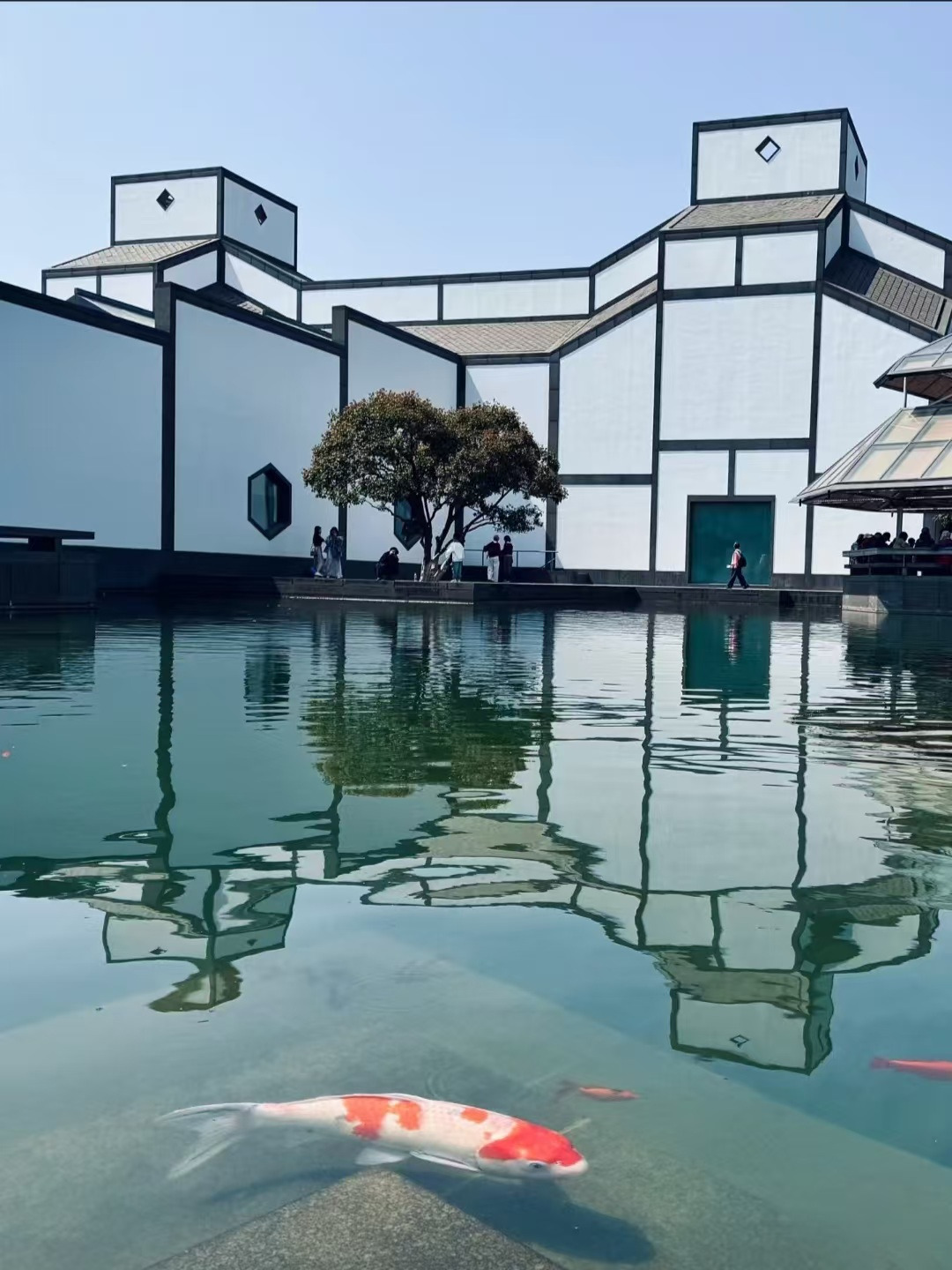 Weixin Image_20260104144032_862_36.jpg