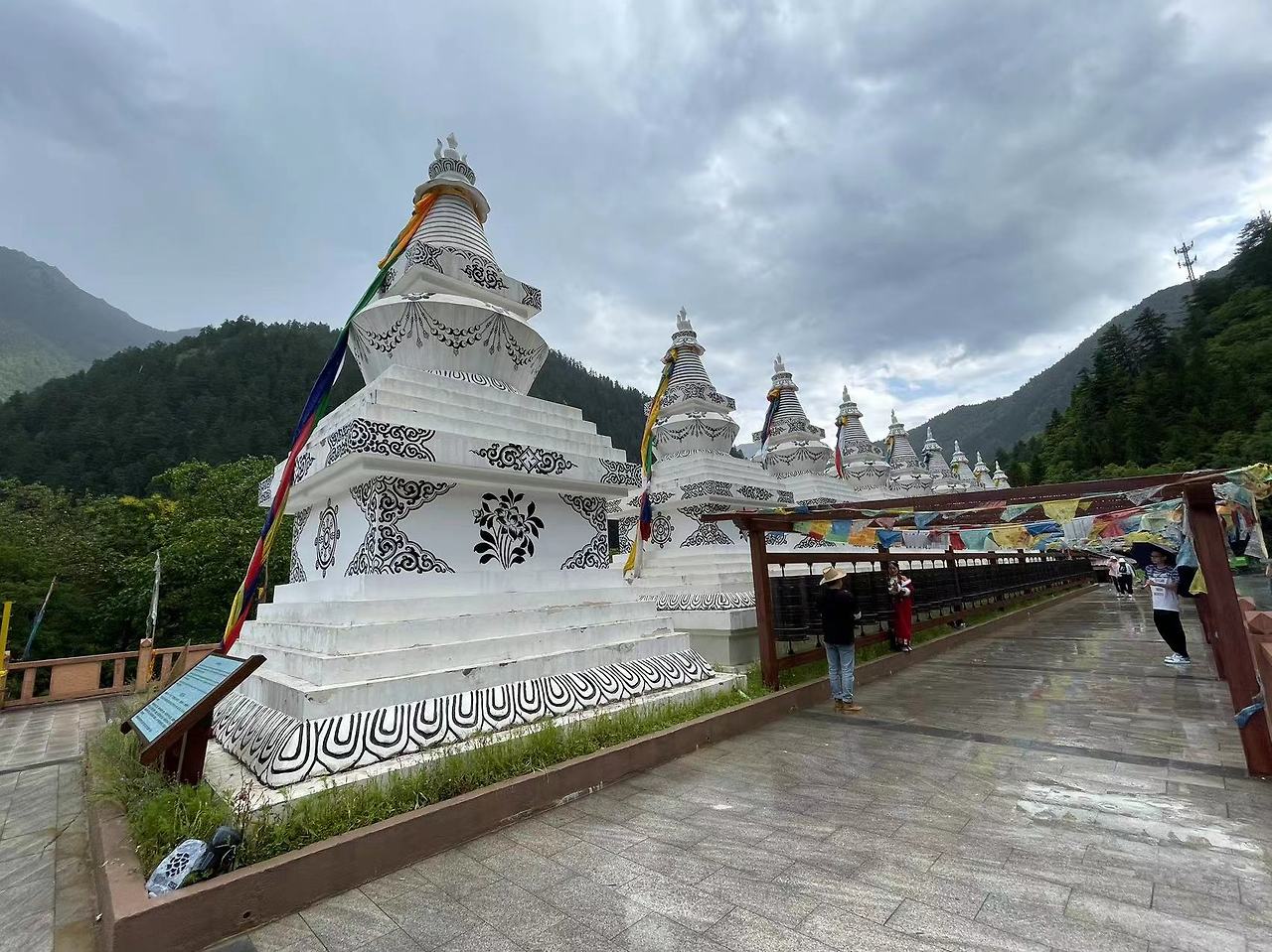 Weixin Image_20230824141929.jpg