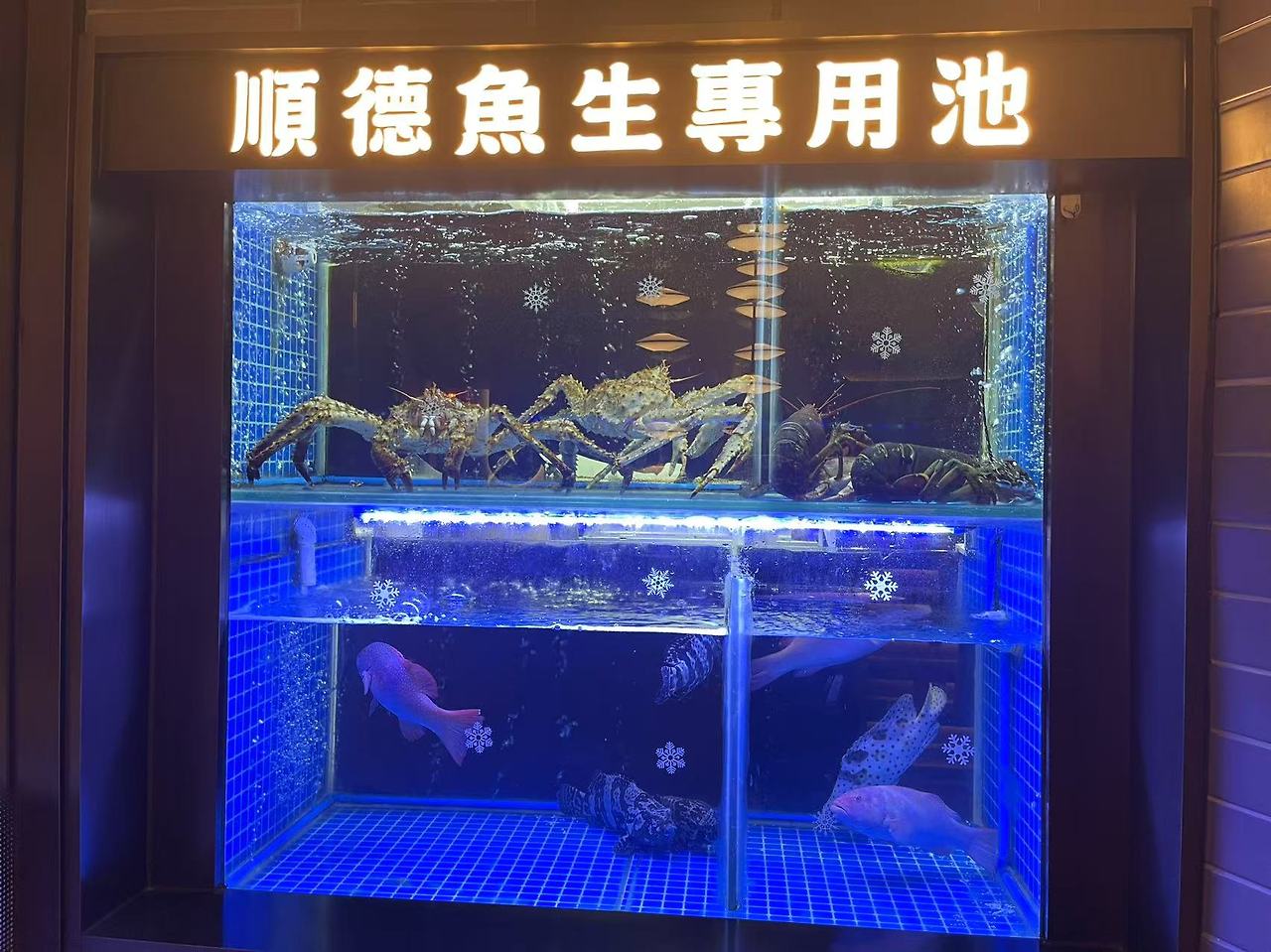 Weixin Image_20250219134605.jpg