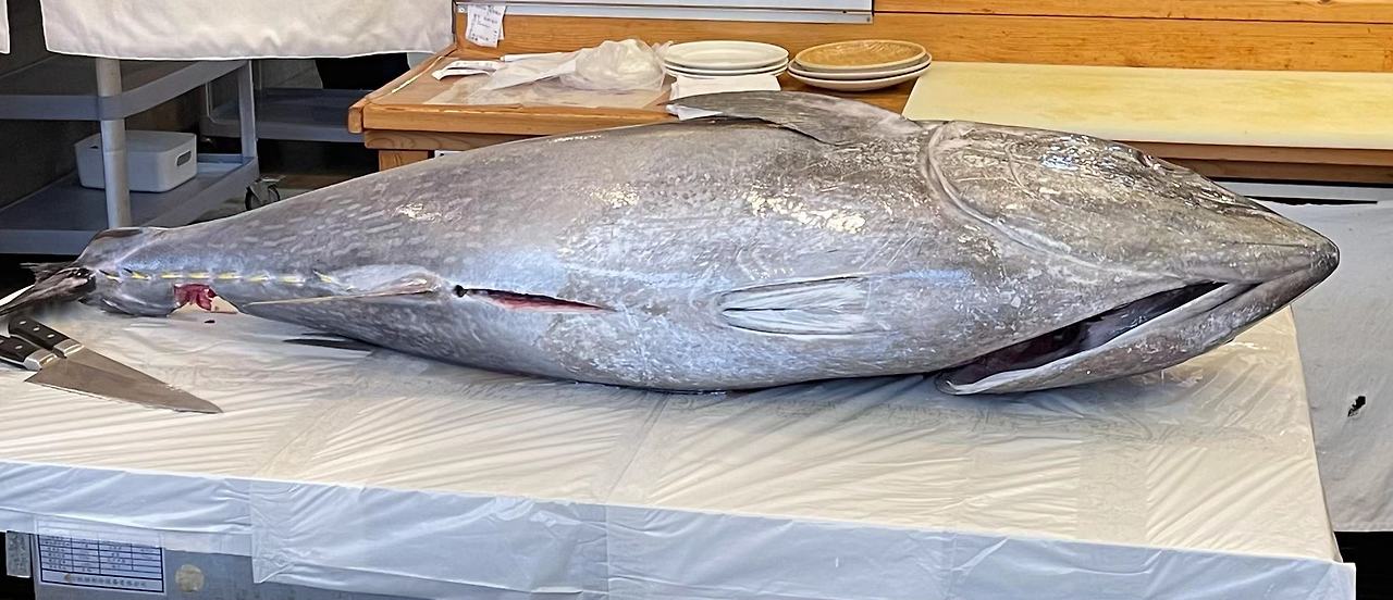 Weixin Image_20240704120739.jpg