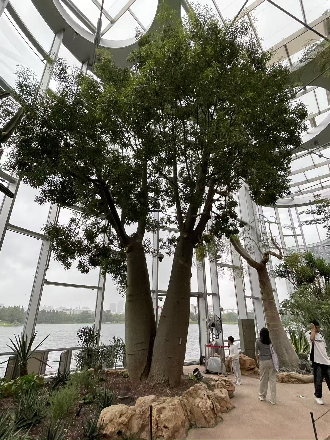 Weixin Image_20250922155318_1790_134.jpg