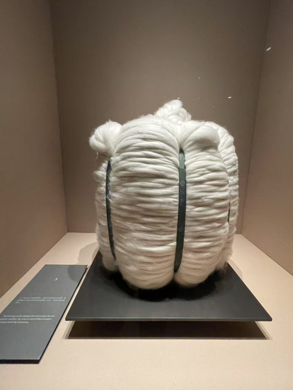 Weixin Image_20250415154138.jpg