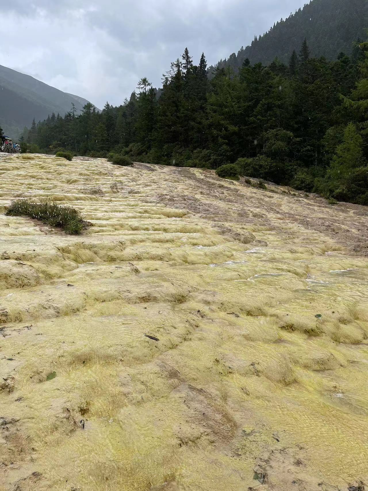 Weixin Image_20230828110836.jpg