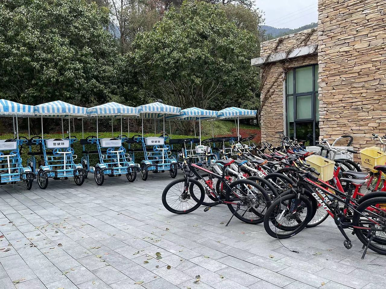 Weixin Image_20240326102409.jpg