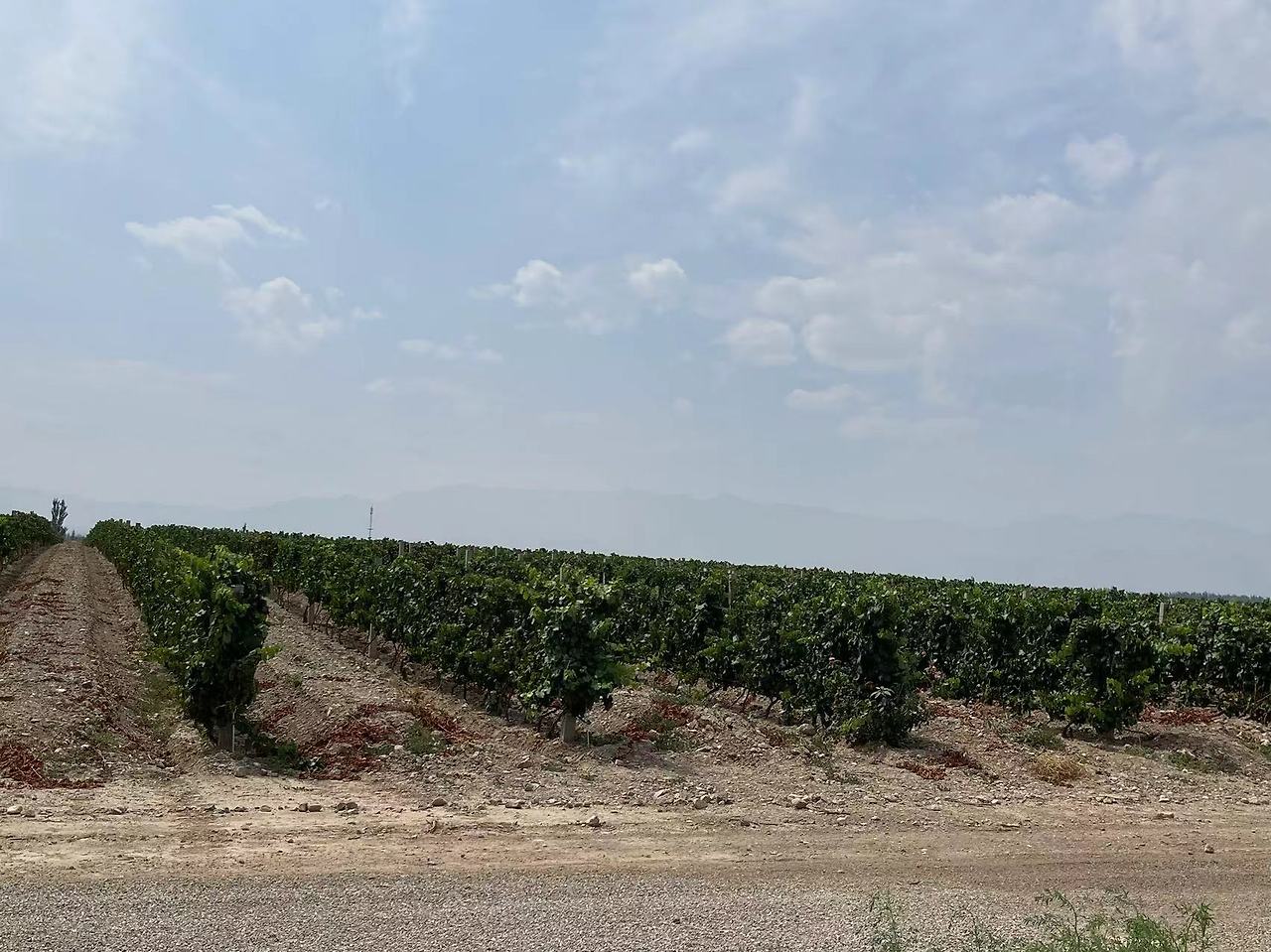 Weixin Image_20240804185434.jpg