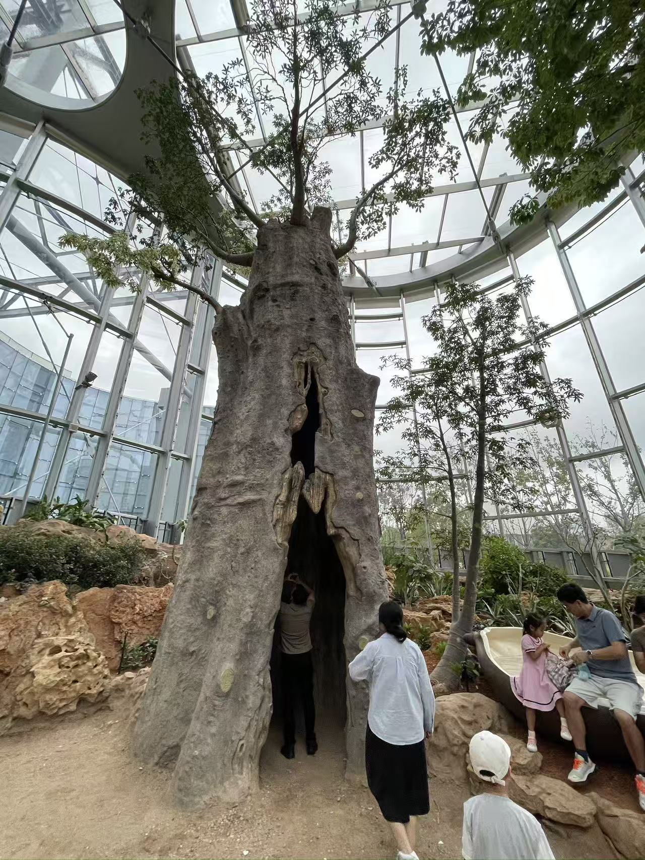 Weixin Image_20250922155311_1785_134.jpg