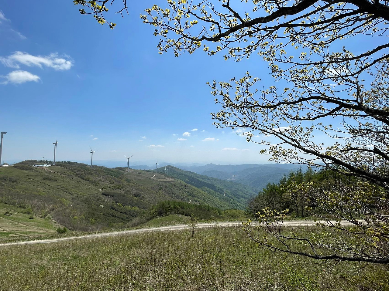 Weixin Image_20240506142936.jpg