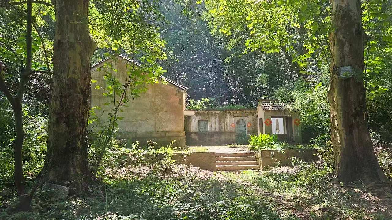 Weixin Image_2025-08-18_145449_795.jpg